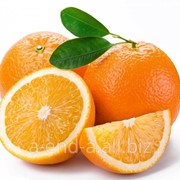 Апельсины из Египта в любую точку России(с середины сентября или октября до конца июля) фото