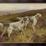 Картина Два английских сеттера на траве, Уордл, Артур фото
