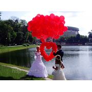 Сердца из воздушных шаров Днепропетровск №7 фотография