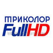 Триколор ТВ Full HD комплект GS-8307 антена 0,55 фото