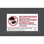 Уничтожение тараканов,блох,грызуновв Крыму фото