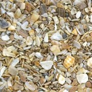 Декоративные элементы песок морской ракушечный для ландшафтного дизайна фото