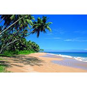 Шри-Ланка. Индурува. PANDANUS BEACH 4* фотография