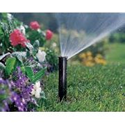 Полив цветников фото