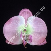 Искусственная головка орхидеи (33170-03) фото