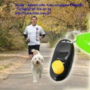 Кликер – тренинг собак. Класс послушания в Харькове. “Пес Барбос“ фото