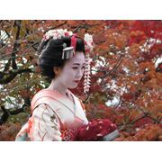 Курсы японского языка фото