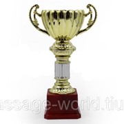 Кубок (пластик, h-25см, d чаши-10см, золото) фото