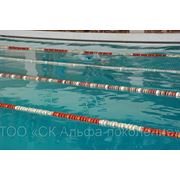 Плавание, бассейн, обучение плаванию фото