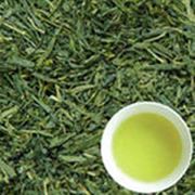 Зеленого чая экстракт фото