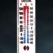 Термометры фото