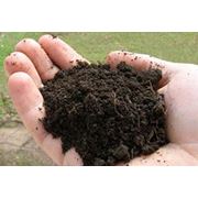 Продаем органические удобрения гумифицированный компост биогумус купить Украина оптом фотография