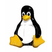 Установка операционной системы Установка Linux фото