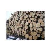 Лес круглый 6-8 м сосна и лиственные породы фото