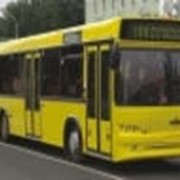 Пассажирская техника - Городские автобусы МАЗ