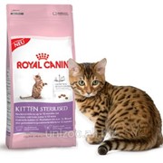 Корм для стерилизованных котят Royal Canin KITTEN STERILISED - 2 кг