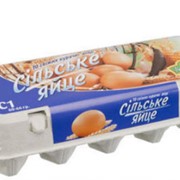 Коробки литьевые под яйца № 710, вместимостью 10 шт. ,- для яиц весом до 85 г. фото