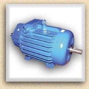 Электродвигатель MTF 312-6, 11 кВт, 1000 об./мин. фото