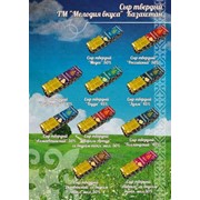 Сыр твердый Чеддер Экстра 45% ТМ Мелодия вкуса фото