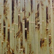 Бамбукові шпалери “Черепаха оливка“ без лаку фото
