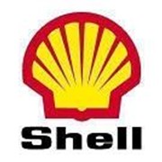 Моторное масло Shell Rimula R5 E 10w/40 209л фото