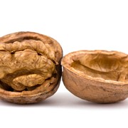 Кругляк грецкого ореха,с полной затоможкой. фото