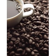 Кофе перу опт и розница фото