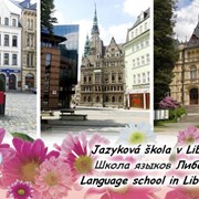 Летние каникулы в Чехии фото