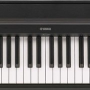 Цифровое пианино Yamaha P-35 фото