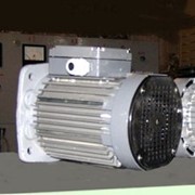 Электродвигатель со встроенным тормозом фото