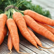 Морковь 2 фото