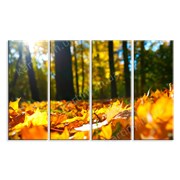 Картина Осенние листья фото