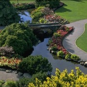 Озеленение территорий фото