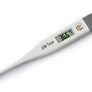Термометр электронный цифровой фотография