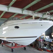 Катер SEARAY 250 фото