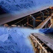 Морозостойкая конвейерная лента Cold Resistant Conveyor Belt фото