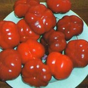 Семена перца Абориген `ратунда красная` фото