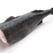 Угольная рыба фото