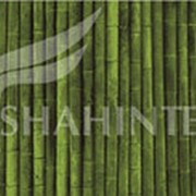 Коврик универсальный Shahintex Spring Photoprint SH P113 60*90 фотография