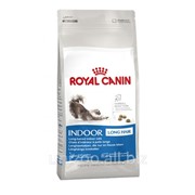 Сухой корм для кошек Royal Canin Indoor Long Hair 35 0,4 кг фотография