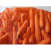Морковь мытая фото