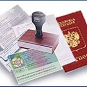 Польская рабочая бизнес мульти виза (Шенген)