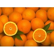 Апельсины Валенсия фото