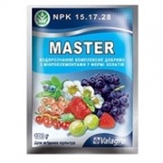 Master для ягодных культур NPK 15.17.28 фото