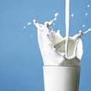 Добавки пищевые для молочной продукции