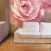 Фотопанно DIVINO® Décor фотография