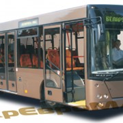 Автобус МАЗ-226063 фото
