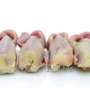 Мясо перепелов замороженное 4 шт., подложка, 140-160 гр/шт. фото