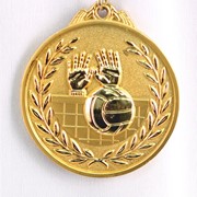 Медаль рельефная Волейбол золото фото
