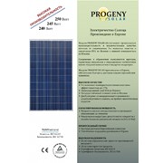 Фотоэлектрические солнечные модули PROGENY SOLAR фото